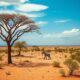 Real Estate Investment in South Africa: Benefits and Restrictions
