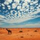 Tips for Finding Housing in South Africa