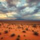 Culture in South Africa: Local Festivals and Traditions