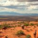 South African Residence Visas: A Guide by Stay Type
