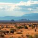 How to Get a South African Passport