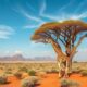 South African Inheritance Law: Wills and Estates