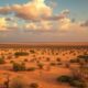 South African Labor Law: Protections and Obligations