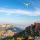 Protecting Your Intellectual Property in Albania