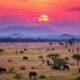 Foreign Real Estate Purchase in Madagascar: Guide and Tips