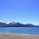 Investing in New Zealand Student Housing