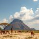 Current Real Estate Market Trends in Madagascar