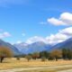 New Zealand Real Estate Succession: A Complete Guide