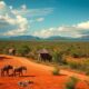 Senior Service Residences in Madagascar: A Booming Market