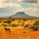 Selling Property Fast in Madagascar: Key Tips