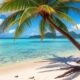 Micro-Apartments in Vanuatu: Budget-Friendly Living