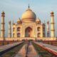 Moving to India with Pets: Tips and Procedures