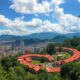 Pet Relocation to Colombia: A Practical Guide and Tips