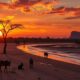 Buying Agricultural Land in Madagascar: A Legal Guide
