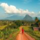 Moving To Malaysia With Pets: Essential Tips