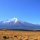Cultural Differences to Know Before Moving to Argentina