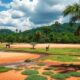 Madagascar’s Second Home Market