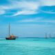 Best International Schools in Seychelles: The Ultimate Guide