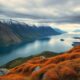 Industrial Real Estate Free Zones in New Zealand