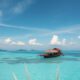 Notary and Fees Guide for Seychelles