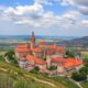 Moving to Estonia: Pet Relocation Tips