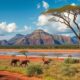 Secure Residences in Madagascar: Expat Trend