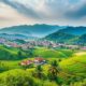 Buying Agricultural Land in Hungary: A Legal Guide