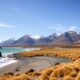 New Zealand Real Estate Regulations