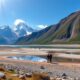 Investing In Argentine Real Estate: An Expat’s Guide