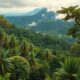 Real Estate Purchase in Costa Rica: A Guide for Foreigners