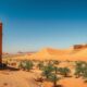 Corporate Taxation in Morocco