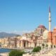 Bringing Pets to Turkey: The Complete Guide