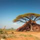 Required Certifications for Secure Purchasing in Madagascar