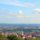 Bringing Your Pet to Lithuania: Practical Tips