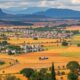 Expatriating to Kenya: Opportunities, Realities, and Risk Zones