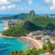 Pet Relocation to Trinidad and Tobago: Procedures and Practical Advice