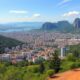 Moving to Venezuela with Your Pet: Procedures and Practical Tips