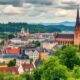 Moving to Germany with Pets: Procedures, Costs, and Practical Advice