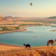 Relocating Your Pet to Saudi Arabia: Procedures, Challenges, and Practical Solutions