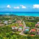 Pet Relocation to Jamaica: Procedures, Regulations, and Life on the Island