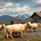 Practical Tips for Managing Homesickness in Turkmenistan