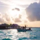Pet Relocation to Aruba: Procedures and Practical Advice