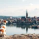 Moving to Belgium with Pets: Procedures, Health Risks, and Practical Advice
