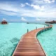 Taxation in the Maldives for Expats: Income Tax and Property Taxation
