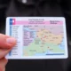 Complete Guide to Obtaining a Czech Passport