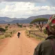 Safety in Kenya: A Guide to a Truly Peaceful Expatriate Experience