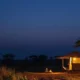 Nightlife in Kenya: Where to Go Out After Dark