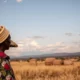 Cost of Living in Kenya for Expatriates: Understanding, Comparing, Budgeting