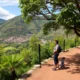 Tanzania’s Job Market: What Real Opportunities for Expats?