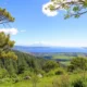 Seasonal Rental Opportunities in Peru